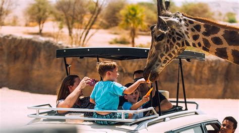 al ain safari park